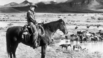 Backdrop to the movie "Red River" #988012