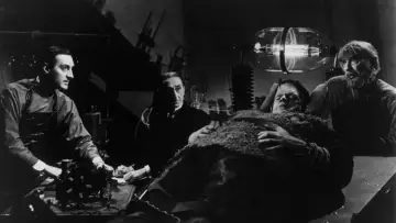 Backdrop to the movie "Son of Frankenstein" #1030397