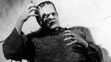 Backdrop to the movie "Son of Frankenstein" #1030398