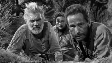 Backdrop to the movie "The Treasure of the Sierra Madre" #1165458