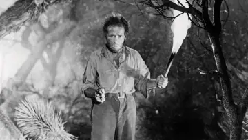 Backdrop to the movie "The Treasure of the Sierra Madre" #899933