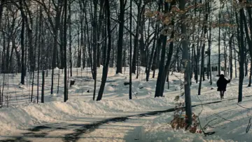 Backdrop to the movie "Valley of the Dolls" #1532550