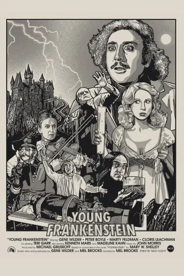Poster to the movie "Young Frankenstein" #1578662