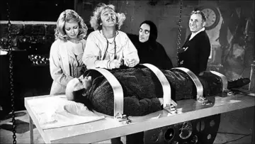 Backdrop to the movie "Young Frankenstein" #682306