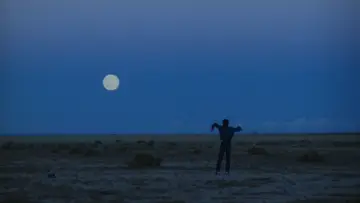 Backdrop to the movie "Badlands" #667926