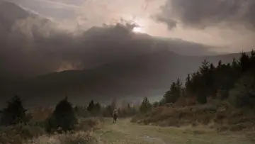 Backdrop to the movie "Barry Lyndon" #659898