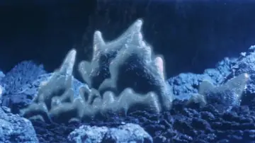 Backdrop to the movie "Ebirah, Horror of the Deep" #940729