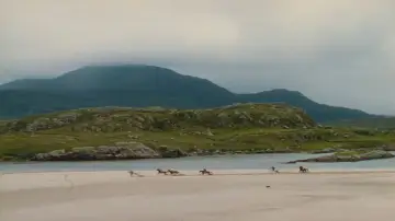 Backdrop to the movie "The Quiet Man" #949202