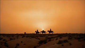Backdrop to the movie "The Searchers" #713456