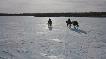 Backdrop to the movie "The Searchers" #713460