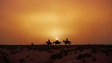 Backdrop to the movie "The Searchers" #713484