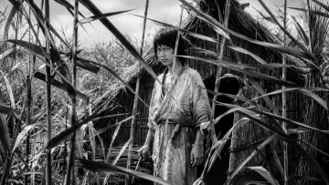 Backdrop to the movie "Onibaba" #985386