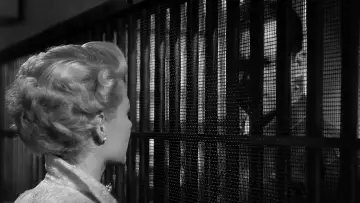 Backdrop to the movie "The Lady from Shanghai" #817892