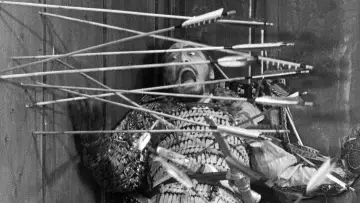 Backdrop to the movie "Throne of Blood" #752178