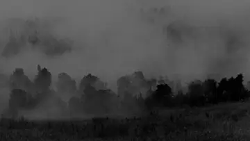 Backdrop to the movie "Throne of Blood" #752186