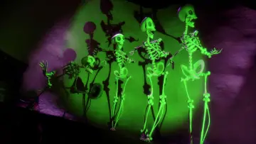 Backdrop to the movie "Corpse Bride" #660421