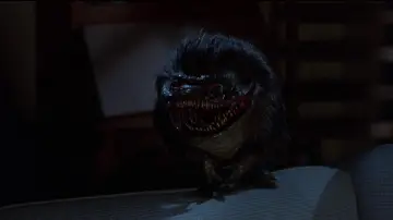 Backdrop to the movie "Critters" #804852