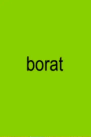 Poster to the movie "Borat: Cultural Learnings of America for Make Benefit Glorious Nation of Kazakhstan" #732728
