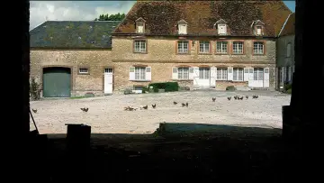 Backdrop to the movie "Caché" #1631740