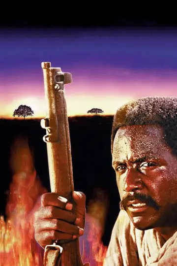 Poster to the movie "Shaft in Africa" #455914