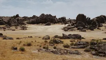 Backdrop to the movie "The Good, the Bad and the Ugly" #582100