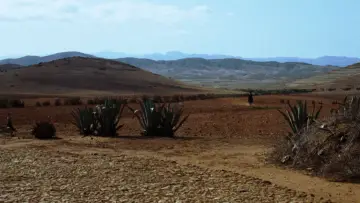 Backdrop to the movie "The Good, the Bad and the Ugly" #582117
