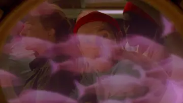 Backdrop to the movie "The Life Aquatic with Steve Zissou" #936285