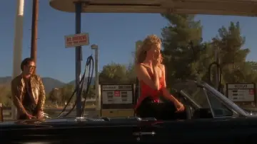 Backdrop to the movie "Wild at Heart" #865149