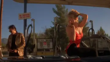 Backdrop to the movie "Wild at Heart" #865155