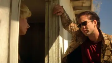 Backdrop to the movie "Wild at Heart" #865163