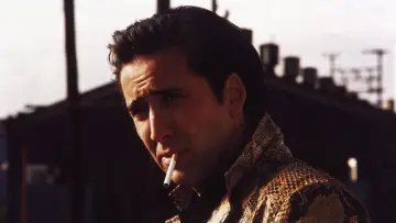 Backdrop to the movie "Wild at Heart" #865170