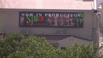 Backdrop to the movie "Scream 3" #771573