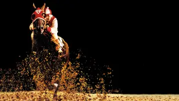Backdrop to the movie "Seabiscuit" #1404356