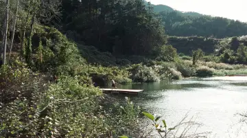 Backdrop to the movie "A Tale of Two Sisters" #810992