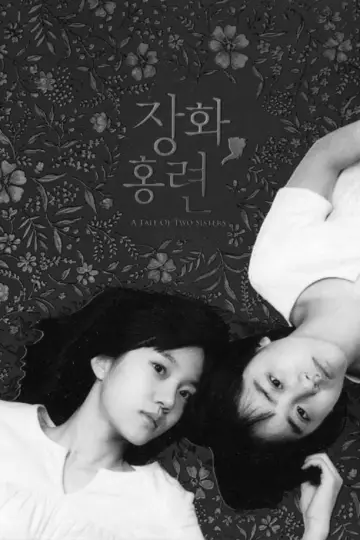 Poster to the movie "A Tale of Two Sisters" #811012