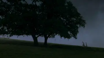 Backdrop to the movie "Sense and Sensibility" #847199