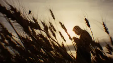 Backdrop to the movie "The Assassination of Jesse James by the Coward Robert Ford" #860351