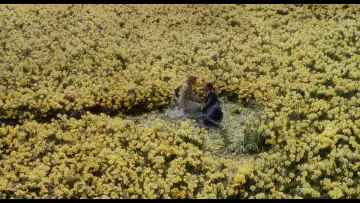 Backdrop to the movie "Big Fish" #963821