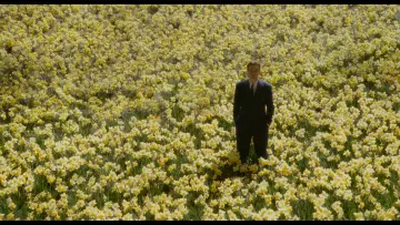 Backdrop to the movie "Big Fish" #963822