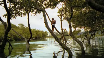 Backdrop to the movie "City of God" #606946