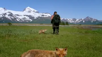 Backdrop to the movie "Grizzly Man" #1567507