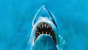 Backdrop to the movie "Jaws" #1197448