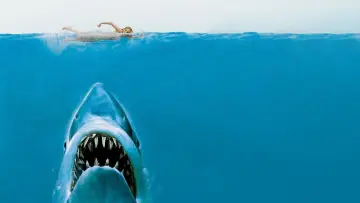 Backdrop to the movie "Jaws" #202946