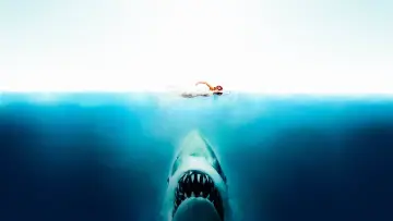 Backdrop to the movie "Jaws" #202949
