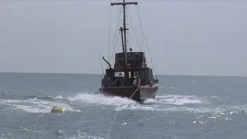 Backdrop to the movie "Jaws" #521034