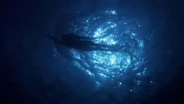 Backdrop to the movie "Jaws" #521055