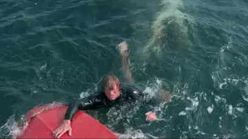 Backdrop to the movie "Jaws" #768195