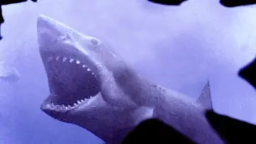 Backdrop to the movie "Jaws" #768198