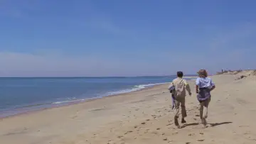 Backdrop to the movie "Jaws" #768206