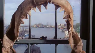 Backdrop to the movie "Jaws" #768229